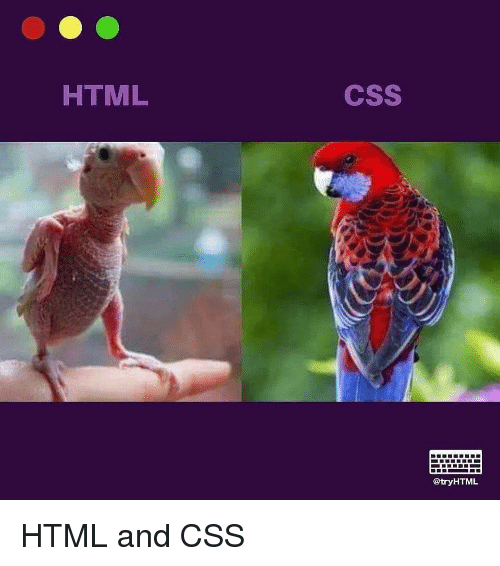 html vs css