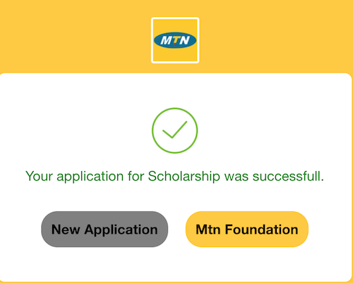 mtn scholarship