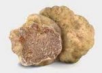 food ingredients