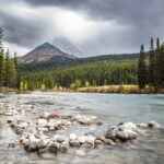 pros and cons of living in alberta