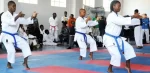 Martial Arts