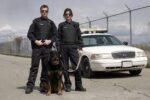 POLICE OFFICERS