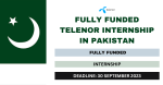 TELENOR INTERNSHIP