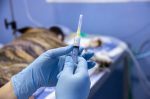 Veterinary anesthesiologist