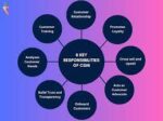 TEAM STRUCTURE